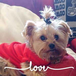 Meet your Posher, Patricia